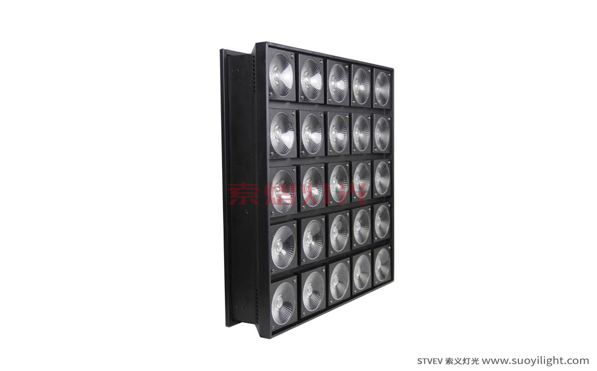 India25 Head LED Matrix Light supplier